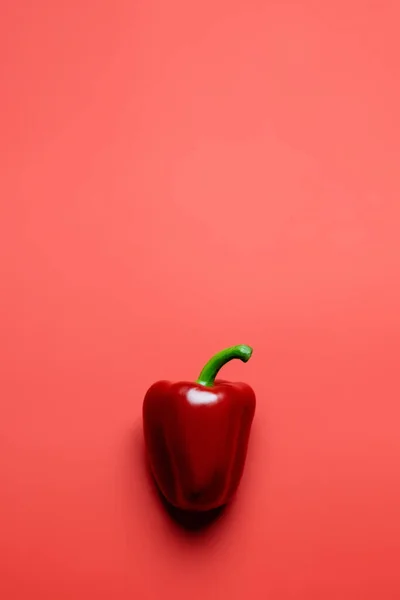 Top View Fresh Paprika Red Background — Stock Photo, Image