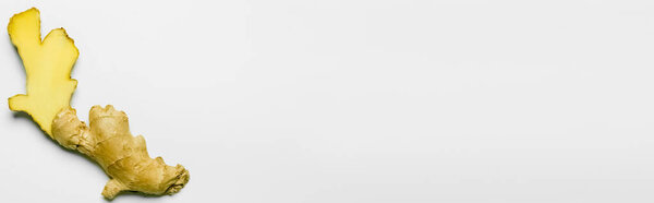 Top view of fresh cut ginger on white background with copy space, banner 