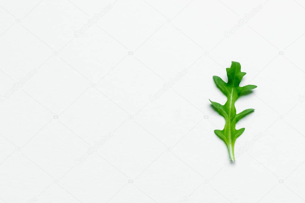 Top view of organic arugula leaf on white background 