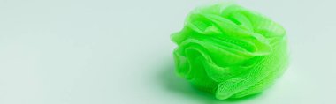 green body puff on grey background with copy space, banner