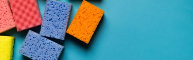 top view of colorful porous sponges on blue background, banner