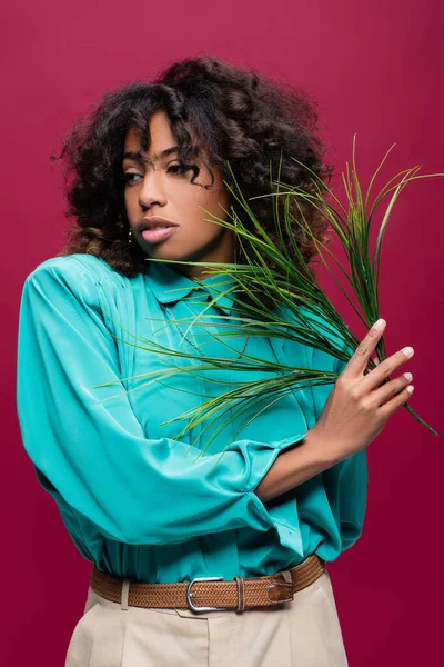 Mulher Afro Americana Blusa Turquesa Segurando Ramo Com Folhas Verdes — Fotografia de Stock