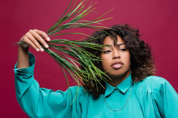 Curly African American Woman Blue Blouse Holding Branch Green Leaves — Stock Photo, Image