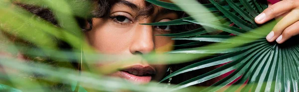 Pretty African American Woman Looking Camera Exotic Leaves Blurred Foreground — Stock Photo, Image