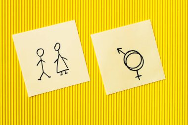 Sarı desenli arka planda erkek ve kadın simgelerinin ve cinsiyet sembollerinin olduğu kartların üst görünümü