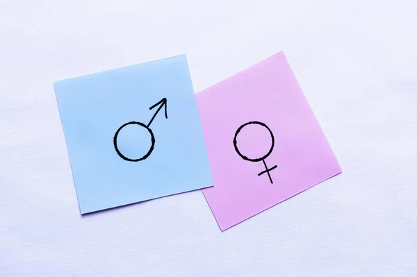 Vista Superior Tarjetas Violetas Con Signos Identidad Género Sobre Fondo — Foto de Stock