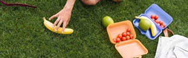 Cropped view of schoolchild taking banana near backpack and lunchboxes on lawn, banner  clipart