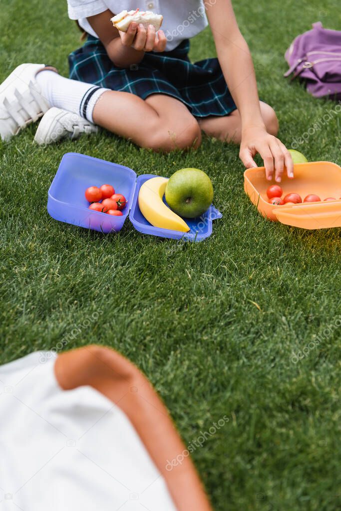 Cropped view of schoolkid holding sandwich near lunchboxes with cherry tomatoes and backpacks on lawn 