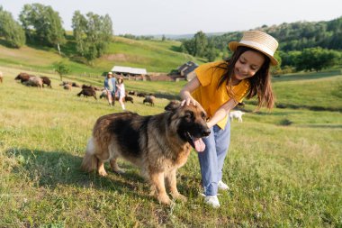 Hasır şapkalı kız anne babanın yanında sığır güden köpeğe sarılıyor bulanık arka planda çiftlik hayvanlarını güdüyor.