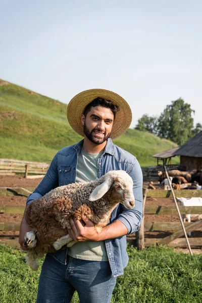 子羊を手にした髭の農家が牛の飼育場でカメラを見て笑っていました — ストック写真