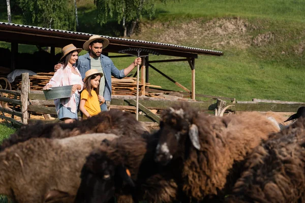 Family Bowl Rakes Blurred Sheep Herd Farm Village — Stock Fotó