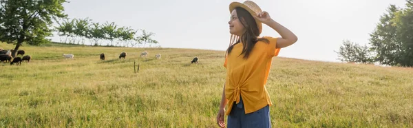 戴着草帽笑着的女孩 望着旁边的牛 在绿色的牧场里吃草 打着横幅 — 图库照片