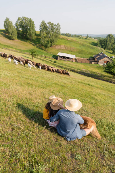 back view of family in straw hats sitting near herd grazing on scenic pasture