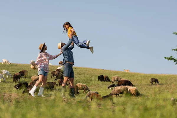 Side View Excited Farmer Holding Daughter Wife Sheep Herd Green — Stock Photo, Image