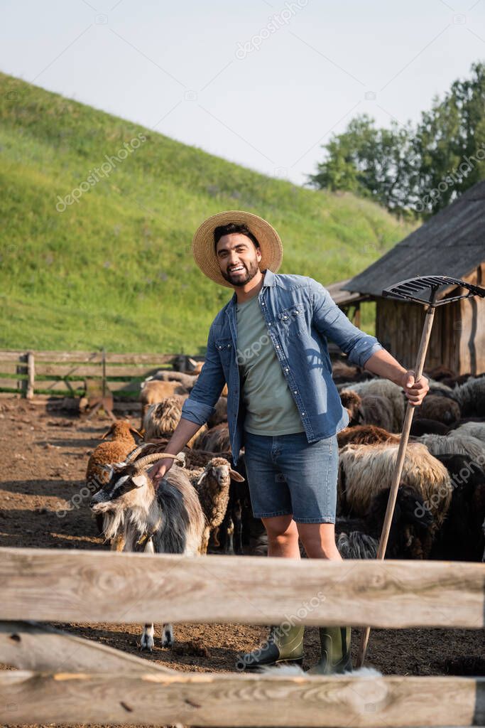 cheerful bearded farmer with rakes looking at camera near herd in corral