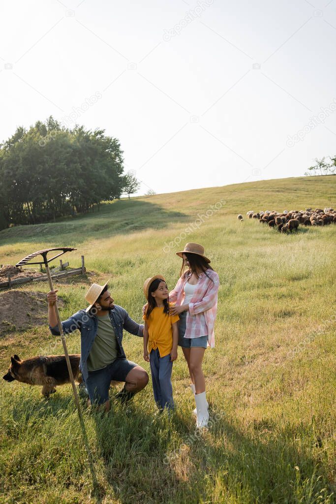farmer with rakes near daughter and wife standing in pasture near grazing herd