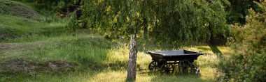 rustic cart on green lawn under birch tree in sunshine, banner clipart