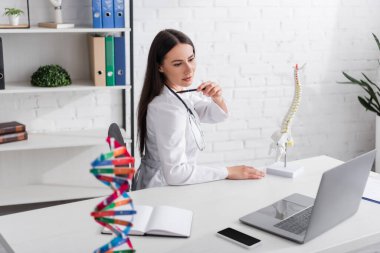 Klinikteki dizüstü bilgisayardaki görüntüler sırasında omurilik modeline yakın omuz gösteren doktor. 