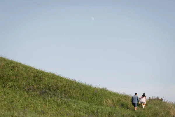 Rückansicht Eines Paares Das Sommer Einem Grünen Hügeligen Feld Spaziert — Stockfoto