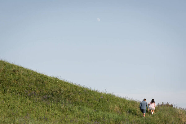 back view of couple walking in green hilly field in summer
