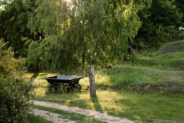 wooden cart on green grass under birch on sunny summer day