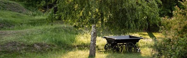 Rustikale Karre Auf Grünem Rasen Unter Birke Sonnenschein Banner — Stockfoto