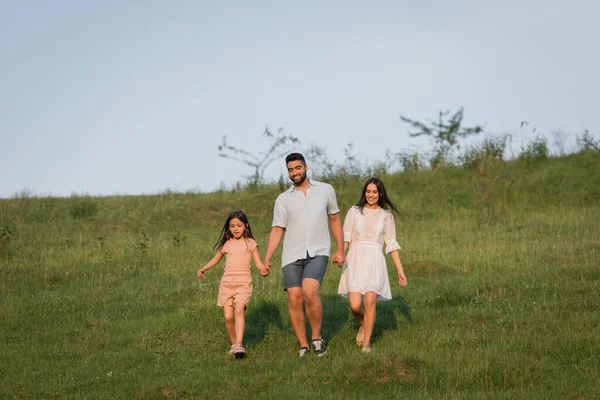 夏の散歩中に笑顔の家族が手を取り合って草原を歩き — ストック写真