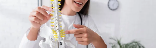 Cropped View Cheerful Doctor Pointing Spinal Model Hospital Banner — Zdjęcie stockowe