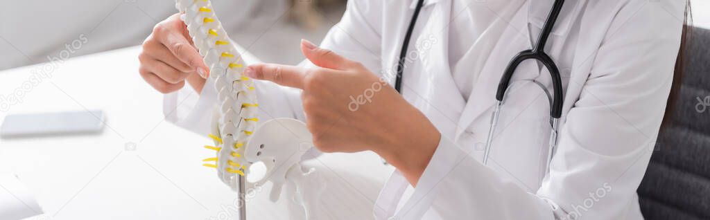 Cropped view of doctor pointing at spinal model in clinic, banner 
