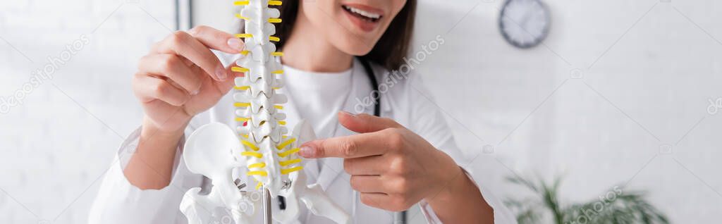 Cropped view of cheerful doctor pointing at spinal model in hospital, banner 