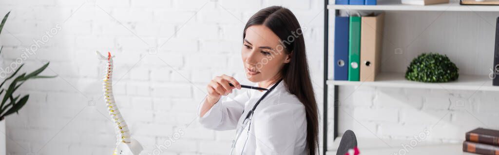 Doctor pointing at shoulder near spinal model in clinic, banner 