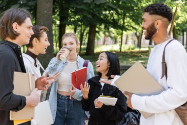Positive multiethnic students with coffee and laptops talking in summer park 