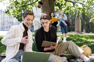 Smiling student pointing at laptop near friend with notebook on grass in park 