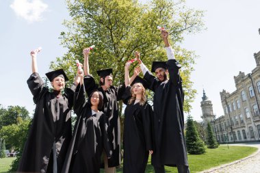 Low angle view of excited interracial bachelors holding diplomas in park 