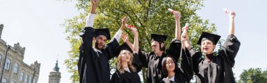 Low angle view of excited multiethnic bachelors in caps holding diplomas in park, banner 