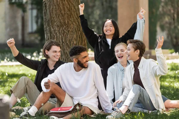 Excited Interracial Students Showing Yes Gesture Grass Park — Stok fotoğraf