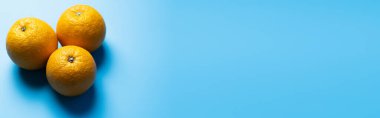 Top view of oranges on blue surface with shadow, banner 