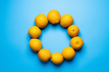 Flat lay with frame from oranges on blue background
