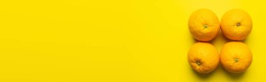 Flat lay with natural oranges on yellow background with copy space, banner 
