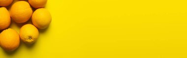 Top view of sweet oranges with shadow on yellow surface, banner 