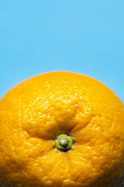 Close up view of bright orange isolated on blue 