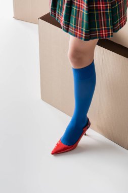 Cropped view of woman in plaid skirt and heel standing near cardboard box on white background 