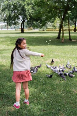 Cheerful asian girl feeding blurred doves in park 