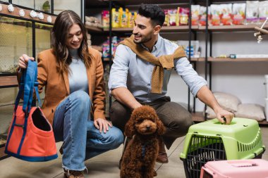 Cheerful multiethnic couple choosing animal cage and bag near poodle in pet shop 