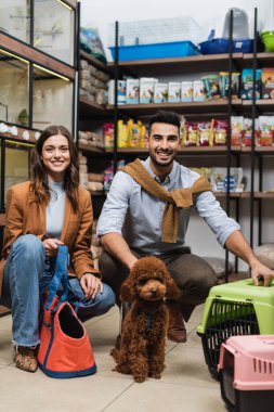 Positive multiethnic couple looking at camera near poodle in pet shop 