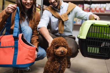 Cropped view of poodle sitting near couple with bag and cage in pet shop