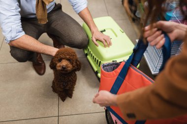 Cropped view of poodle sitting near couple with bag and animal cage in pet shop 