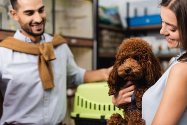 Smiling woman holding poodle near blurred muslim boyfriend with cage in animal shop 