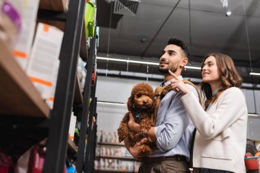 Low angle view of smiling woman pointing with finger near boyfriend holding poodle in pet shop 