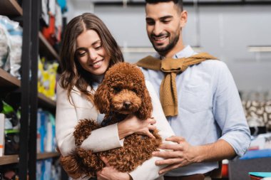Smiling woman holding poodle near blurred arabian boyfriend in pet shop clipart